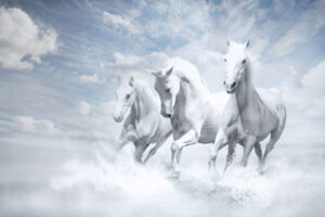 White Horses8286419759